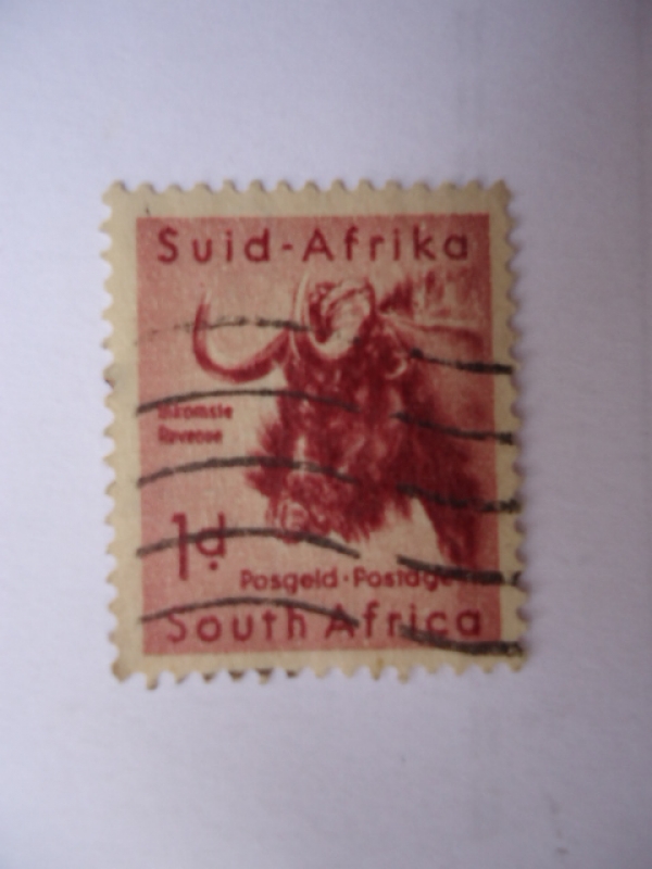 Suid-Afrika- Animales Salvajes-Ñú (s/200)