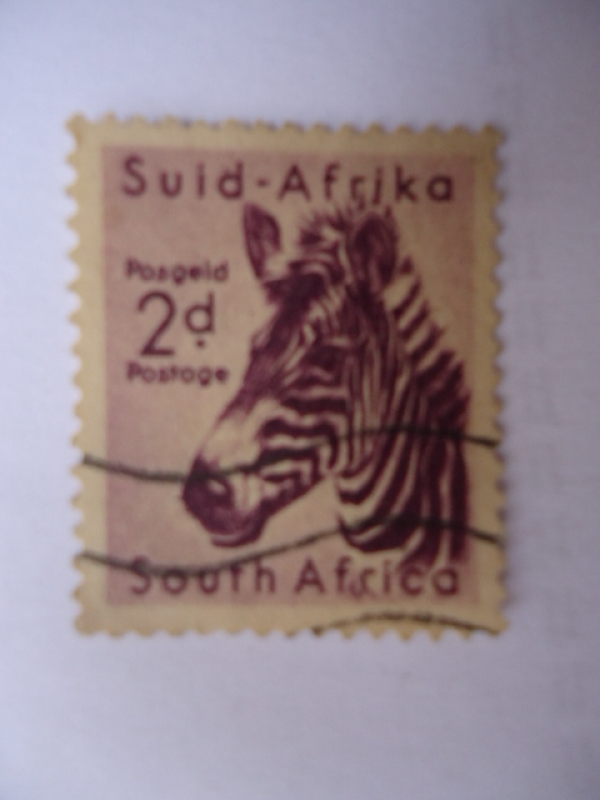 Suid-Afrika- Animales Salvajes-Cebra (S/201)
