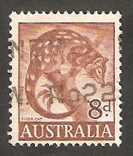 253 B - Marsupial
