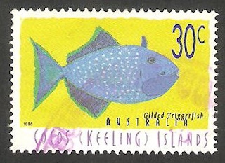 Islas Cocos - 331 - Pez xanthichthys auromarginatus