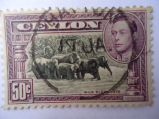 Visita de George VI - Indian Elephant.