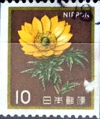 Intercambio 0,20 usd 10 yen 1982