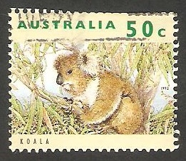 1273 - Koala