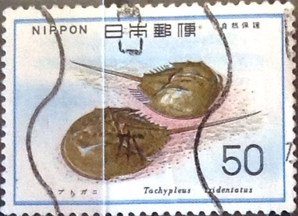 Intercambio 0,20  usd 50 yen 1977