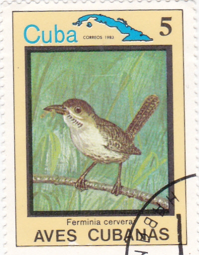 aves cubanas