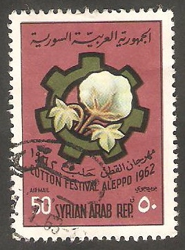 199 - VI Festival del algodón, en Aleppo