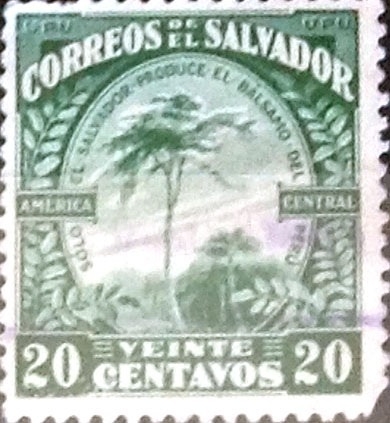 Intercambio 0,40 usd 20 cents. 1924