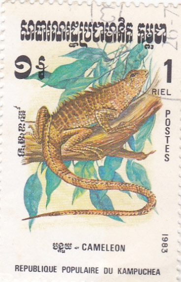 camaleón