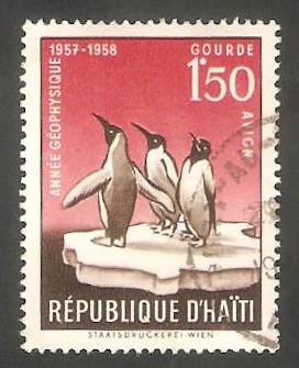 130 - Año geofísico internacional, pingüinos