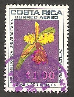 441 - Orquídea