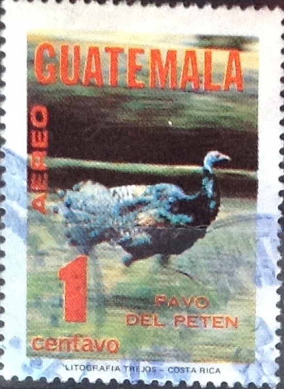 Intercambio 0,25 usd 1 cent. 1979