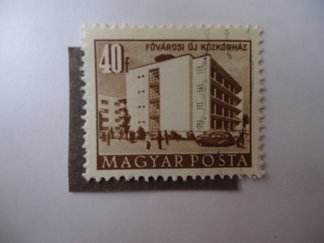Hospital Metropolitano-Budapest- Fovárosi Oj Közkórhaz - Posta Romana. (S/1053)