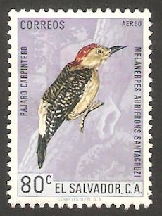 188 - Pájaro Carpintero
