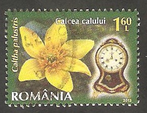 5653 - Flor y reloj del Museo Nicolae Simache de Ploiesti