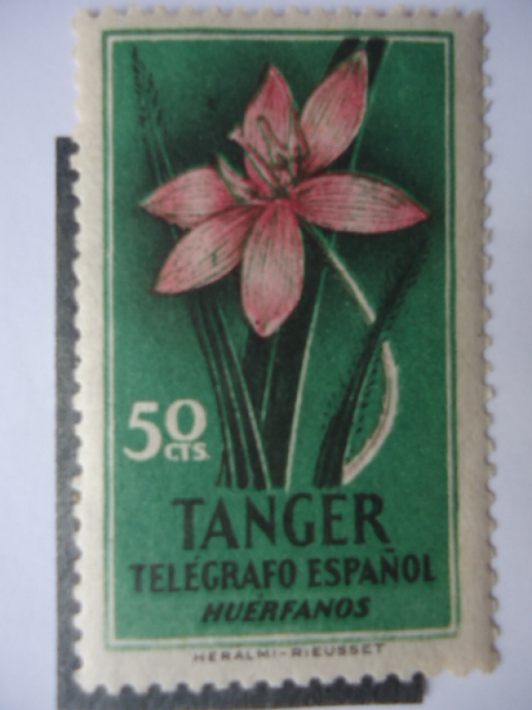 Flora de Tánger-Marrueco - Telégrafo Español - Huerfanos