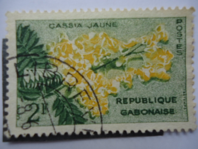 Gassia Jaune (Republique Gabonaise)