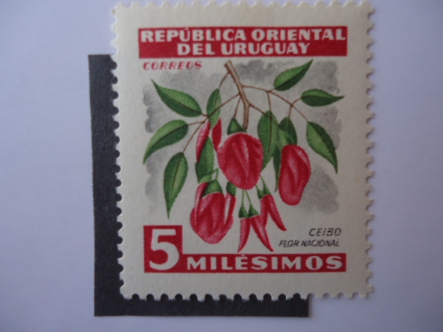 Ceibo-Flor Nacional de la Republica Oriental del Uruguay.