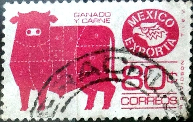 80 cent. 1981