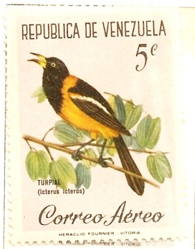 Pajaros de Venezuela