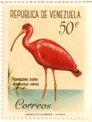 Pajaros de Venezuela