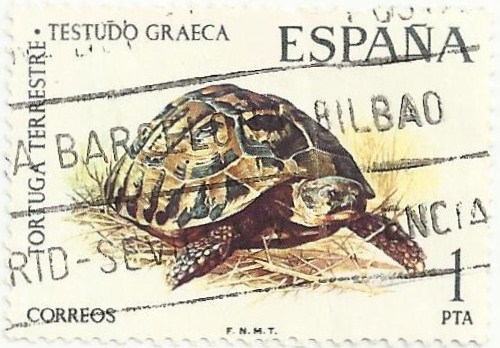 FAUNA HISPÁNICA. TORTUGA TERRESTRE. Testudo graeca. EDIFIL 2192