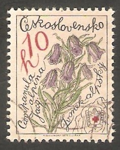 2328 - Flor campanula alpina
