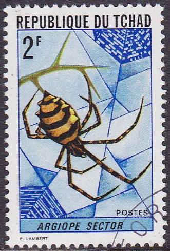 Araña