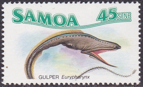 Gulper