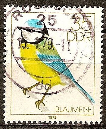 Los pájaros cantores(Tit azul)DDR.