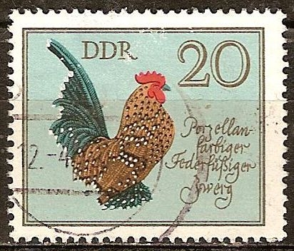 Razas Avícolas. Porcelana color Pluma-pierna enano(DDR).