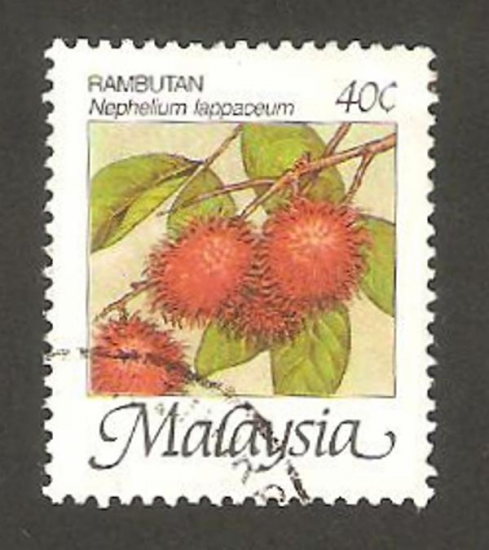  343 - fruta nephelium lappaceum