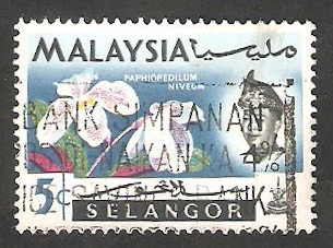 Selangor - 88 - Sultán Salahuddin Abdul Aziz Shah y flores