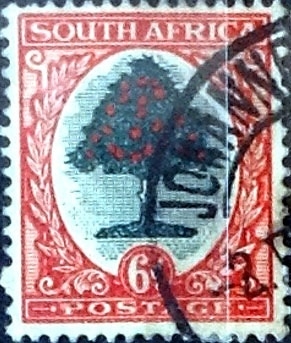 6 p. 1950