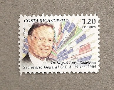 Secretario General OEA