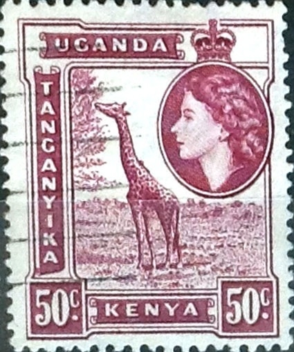 Intercambio 0,20 usd  50 cent. 1954