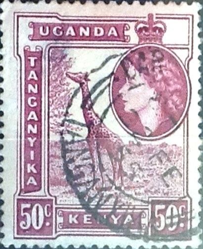 Intercambio 0,20 usd  50 cent. 1954