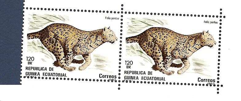 FAUNA  - Leopardo