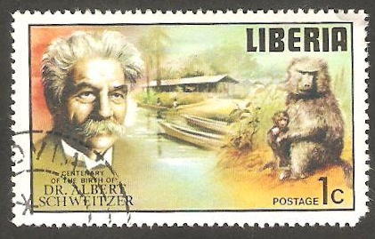 Centº del nacimiento del doctor Albert Schweitzer, babuino