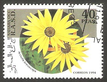 Sahara - Flor