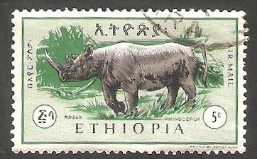 99 - Rinoceronte