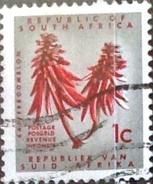 1 cent. 1961