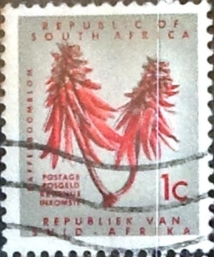 1 cent. 1961