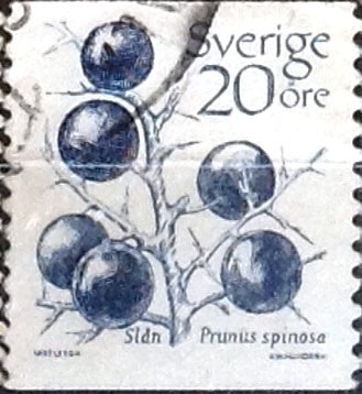 Intercambio 0,20 usd 20 o. 1983