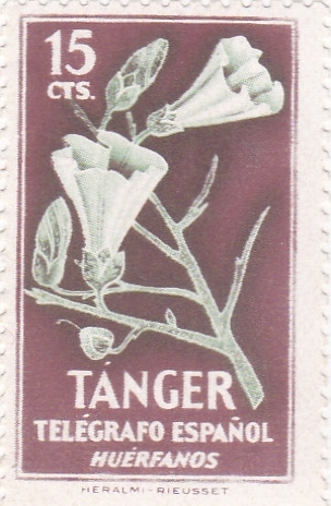 Telegrafos Tanger