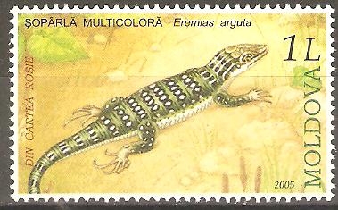 REPTILES  Y  ANFIBIOS  EN  PELIGRO  DE  EXTINCIÒN.  EREMÌAS  ARGUTA.  