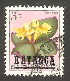 Katanga - 33 - Flor costus