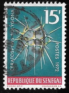 Senegal-cambio
