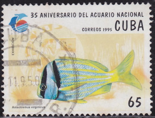 35 Aniversario del Acuario Nacional