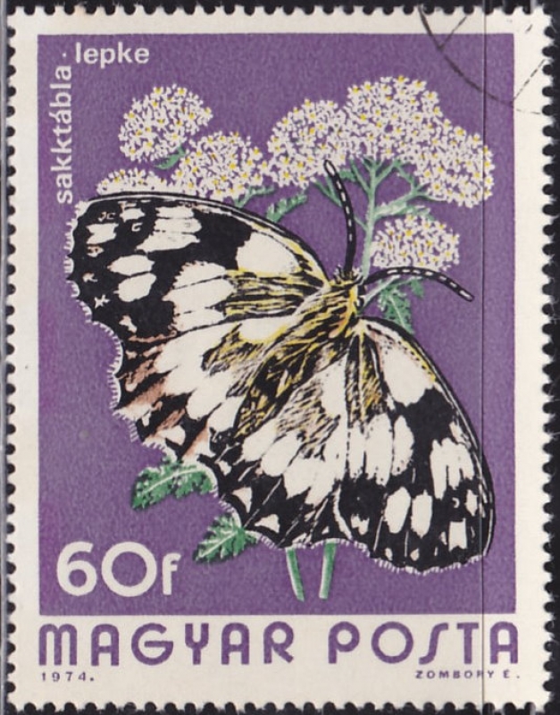 Mariposa