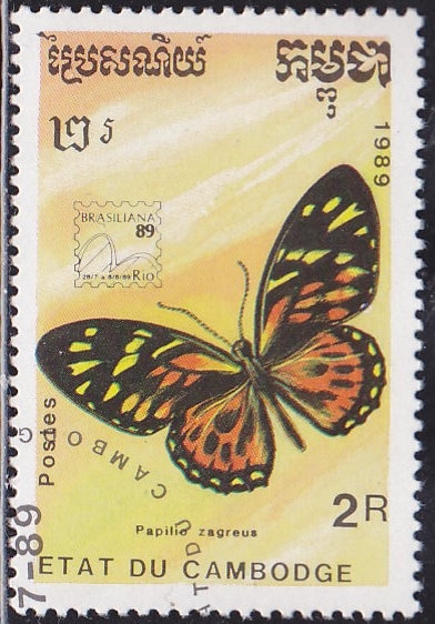 Mariposa